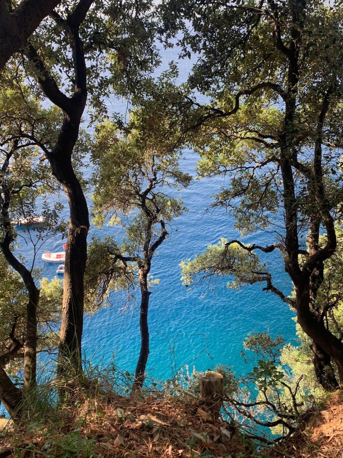 Sea View Apartment With Private Garden Camogli Kültér fotó